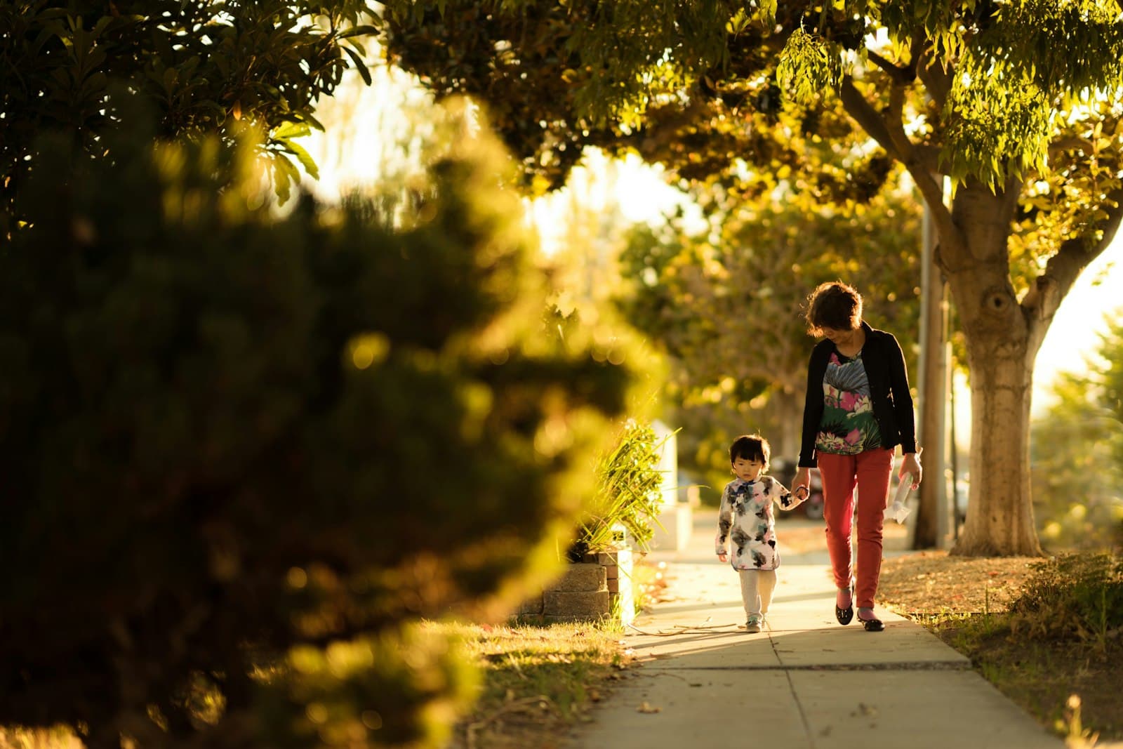photo: family walking in golden-hour light